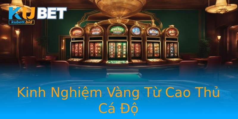Kinh Nghiệm Vàng Từ Cao Thủ Cá Độ